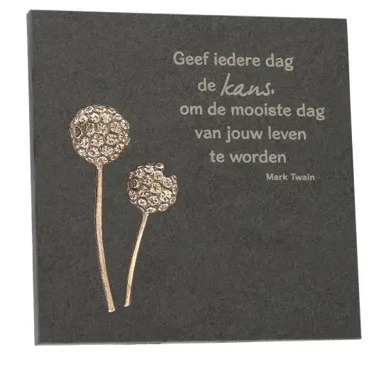 Ardoise 14.5 X 14.5 Cm Geef Iedere Dag De Kans