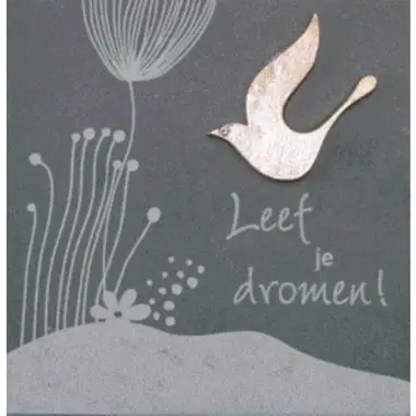 Ardoise 14.5 X 14.5 Cm Leef Je Dromen...