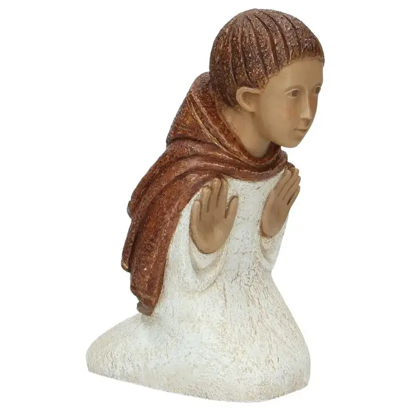 Berger de couleur blanche avec cape brune