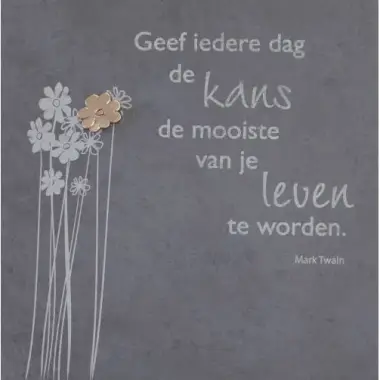 Ardoise 30 X 30 Cm Geef Iedere Dag...