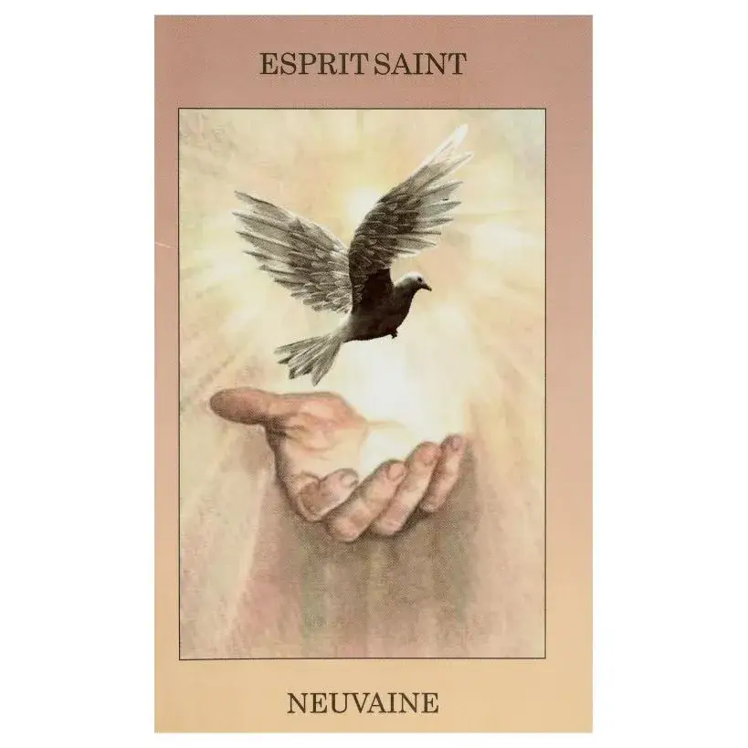 Boek - Neuvaine au St Esprit - FR