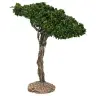 Décor pour santons de Provence Pin parasol H 15 cm