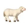 Schaap Kijkend : Houtsnijwerk kerststal Pema 12 cm