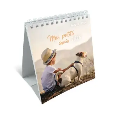 Calendrier 2021 - Mes petits amis