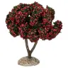 Provencaalse decor Appelboom