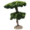 Provencaalse decor Maritieme pijnboom H 15 cm