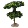 Provencaalse decor Maritieme pijnboom H 15 cm