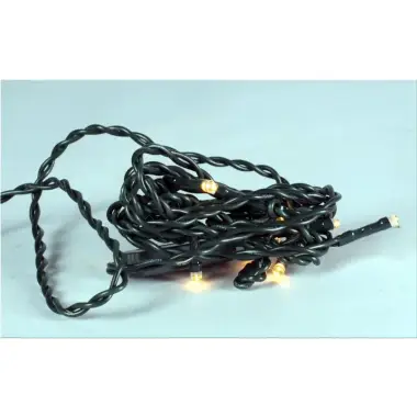 Lichtslinger Met 10 Ledlampjes 220 V