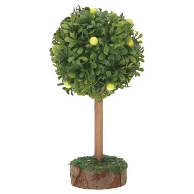 Citroenboom (12 cm)