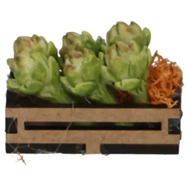 Doos van artisjokken (4.3x2.5x2 cm)