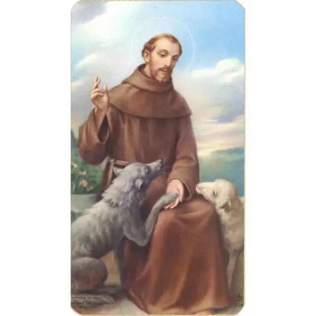 picture St Francois / wolf