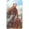 picture St Francois / wolf