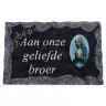 Plate of cemeteries Aan Eleven geliefde Broer 9x14