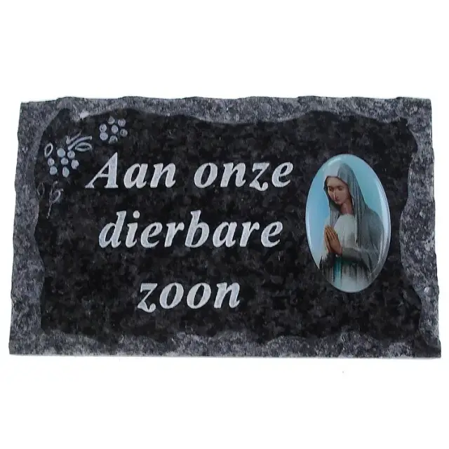 Plate of cemeteries Aan Eleven Dierbare Zoon 9x14