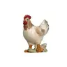 Chicken: wood carving nativity scene Pema 12 cm