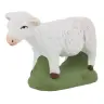 Dieren 2 Schaap Staand