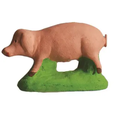 Dieren 2 Varken