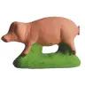 Dieren 2 Varken
