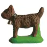 Dieren 2 Hond