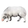 Aries for nativity figurines of 16 cm Color