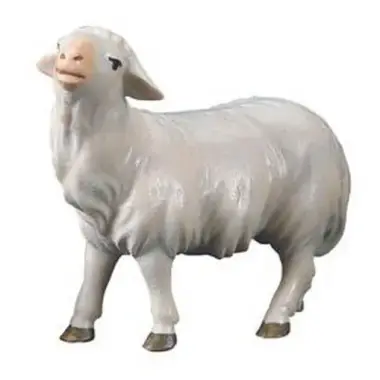 Houtsnijwerk Schaap Kijkend voor kerstfiguren van 16 cm / Gekleurd