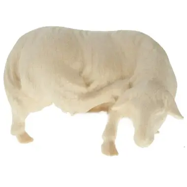 Schaap voor kerstfiguren van 16 cm Natuur