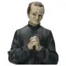 H Don Bosco - 30 cm - Franse steen