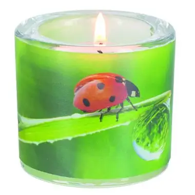 Verre+Chauffe-Plats 6 X 6.5 Cm Veel Geluk