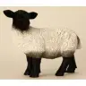 31 Cm Black Sheep