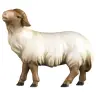 Schaap Met Zwarte Kop : houtsnijwerk kerstgroep Komet 12 cm