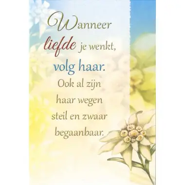 Dubbele Kaart + Omslag - Wanneer liefde...
