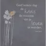 Leisteen 30 X 30 Cm Geef Iedere Dag...