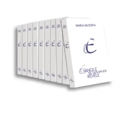 L'Evangile tel qu'il m'a été révélé N.E. - Tome 2 - Chapitres 79 à 159