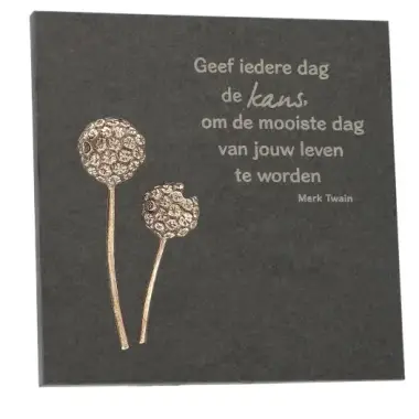 Ardoise 14.5 X 14.5 Cm Geef Iedere Dag De Kans