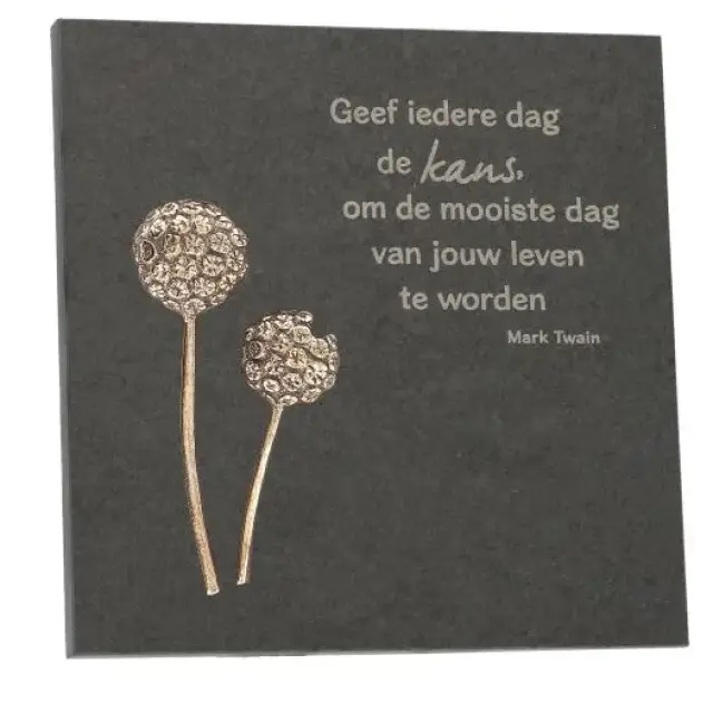 Ardoise 14.5 X 14.5 Cm Geef Iedere Dag De Kans