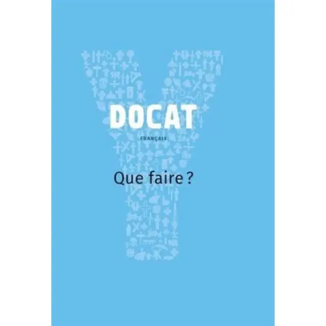Docat : Que Faire ? - La Doctrine Sociale De L'eglise