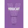 Youcat - Confession