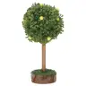 Lemon tree (12 cm)