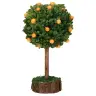 Orange tree (12 cm)