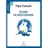 Pèlerin en méditerranée