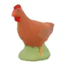 Dieren 2 Kip bruin