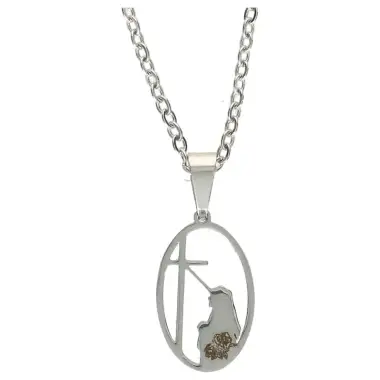 Necklace stainlees steel and medal of Sainte Rita