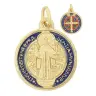 Medaille 20 mm - H Benedictus - Verguld + Email