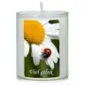 Bougie de circonstance 65 x 50 mm - Veel geluk