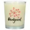 Glass candle 65 x 50 mm with Dutch expression