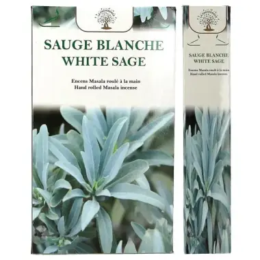 On incense sticks Aromatic white saga