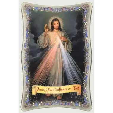 frame 20 x H25 cm Merciful Christ