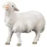 Schaap Kijkend : houtsnijwerk kerstgroep Komet 12 cm