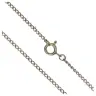 Chain Argentee 60 Cm