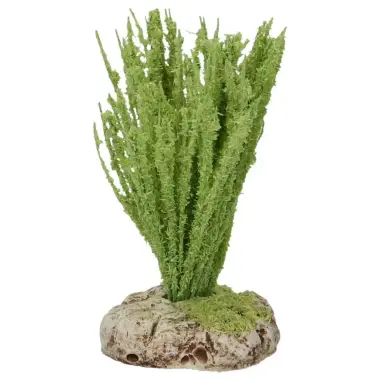 Provencaalse decor Rieten